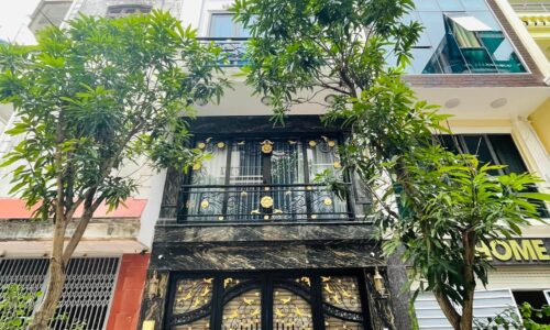 Bán nhà siêu hiếm cực đẹp phố Trần Cung