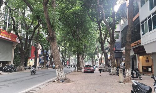 Bán tòa nhà 9 tầng 55m2 mặt phố Phan Đình Phùng