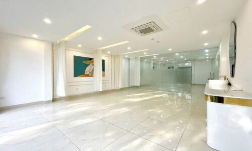 Bán nhà 9 tầng thang máy mặt phố Hoàng Ngân